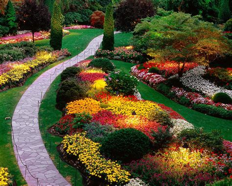 landscaping pictures & ideas